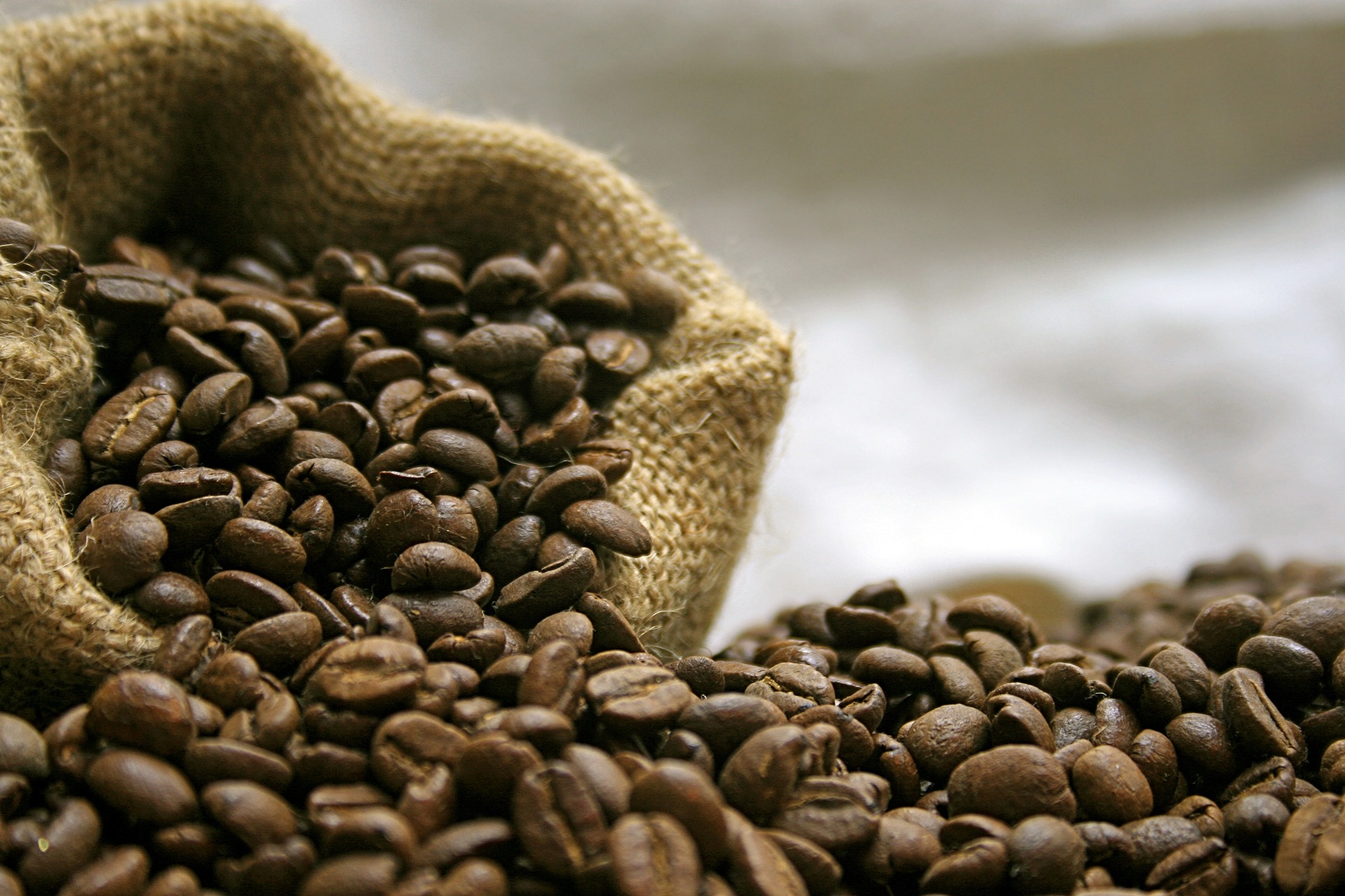 Organic Coffee Beans sourced from Local Canadian Farmers