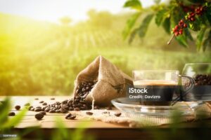 Organic cold brew coffee in eco-friendly cup at PSB Café